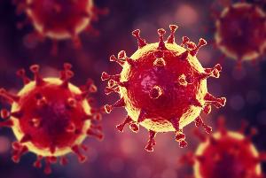 В России 1 декабря вновь обновлен рекорд по суточной смертности от коронавируса