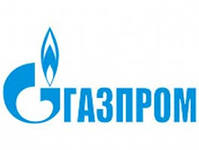 Газпром в текущем году исключил финансирование газификации Московской области
