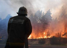 К тушению природного пожара в Рязанской области привлечены 353 человека и 127 единиц техники – МЧС