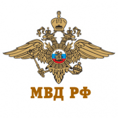 После массовой драки в Мытищах из России выслали 37 иностранных граждан - МВД 