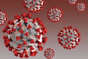Власти Москвы опубликовали данные по смертности от коронавируса в ноябре
