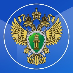 Прокуратура Москвы предупредила об ответственности за несогласованную акцию во «Внуково» 17 января