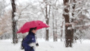 Снегопады и около нуля: прогноз погоды в Москве на неделю