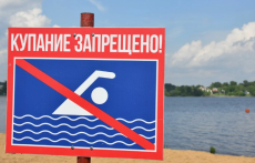 По состоянию на 4 июля в Москве открыты для купания 5 зон отдыха - Роспотребнадзор