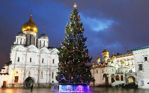 Главную новогоднюю елку страны доставят в Кремль 11 декабря 