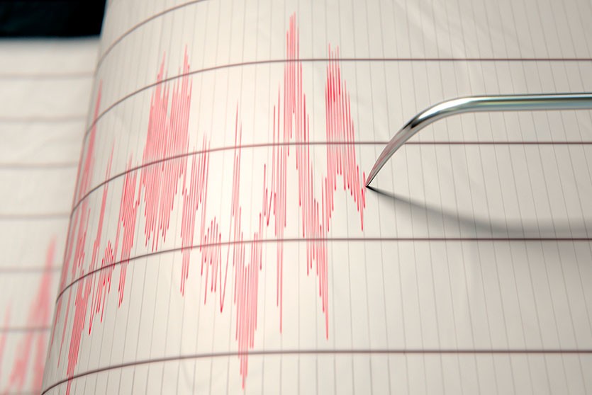 Землетрясения произошли в Ингушетии, Иране,  Мексике