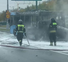 автобус, маршрут 317, пожар